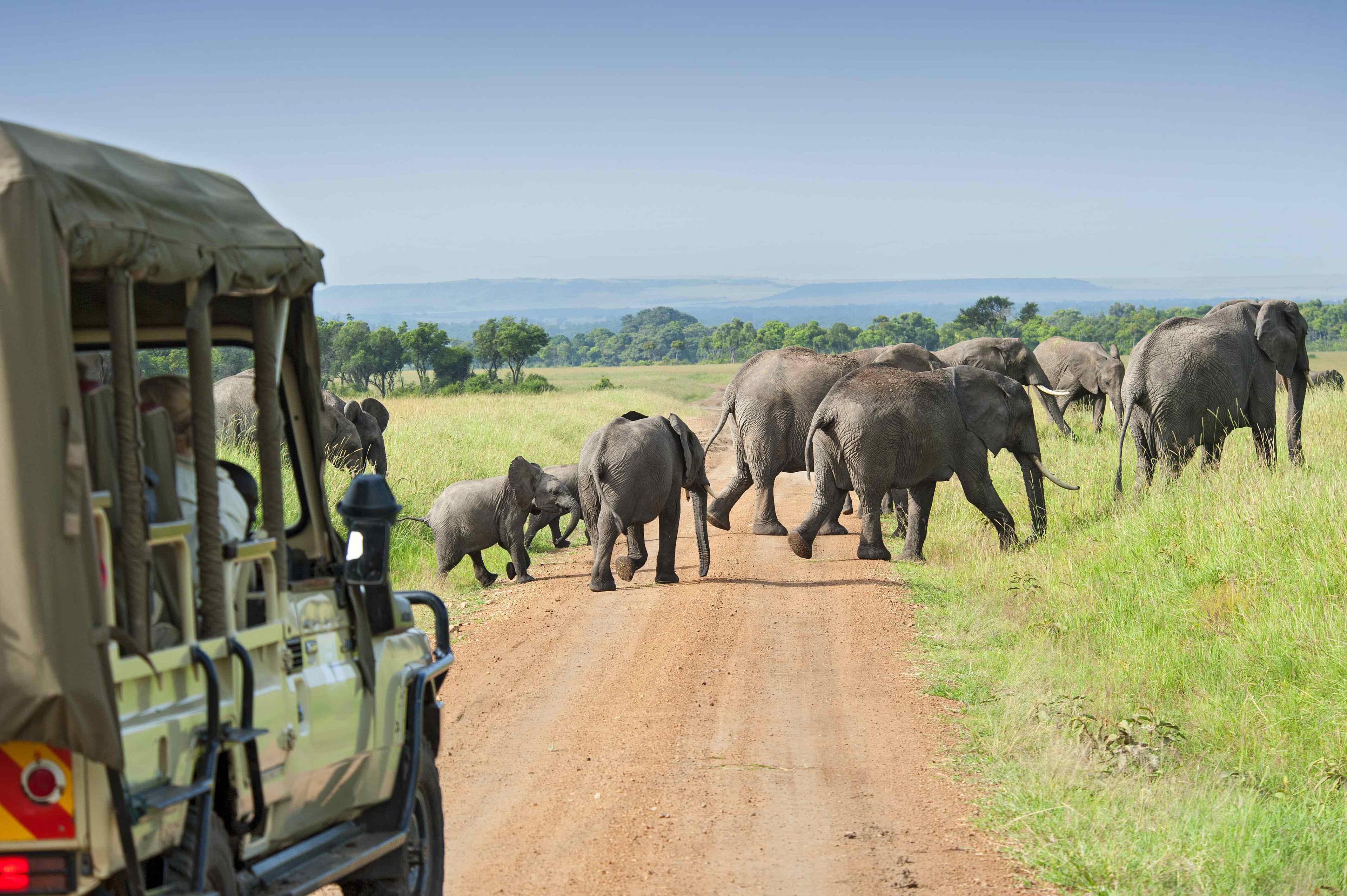 Kenya E-Visas