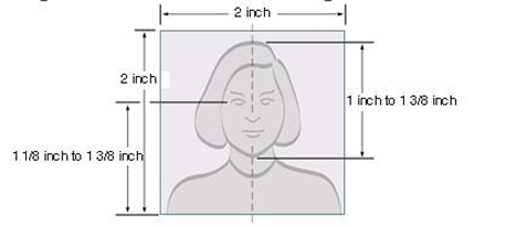 Paper photo head size template